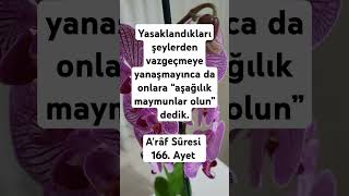 Allahim, Bizi Senin Yasakladıklarından Vazgeçen Kullarından Eyle.âmin