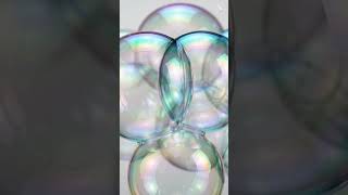 calming and satisfying animation of colorful soap bubbles floating, merging, and gently popping in