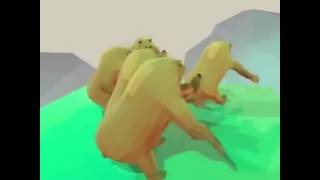 Bears Dance to Sweet Dreams