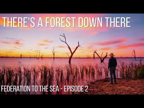 The sunken forest — Federation to the Sea Ep 2
