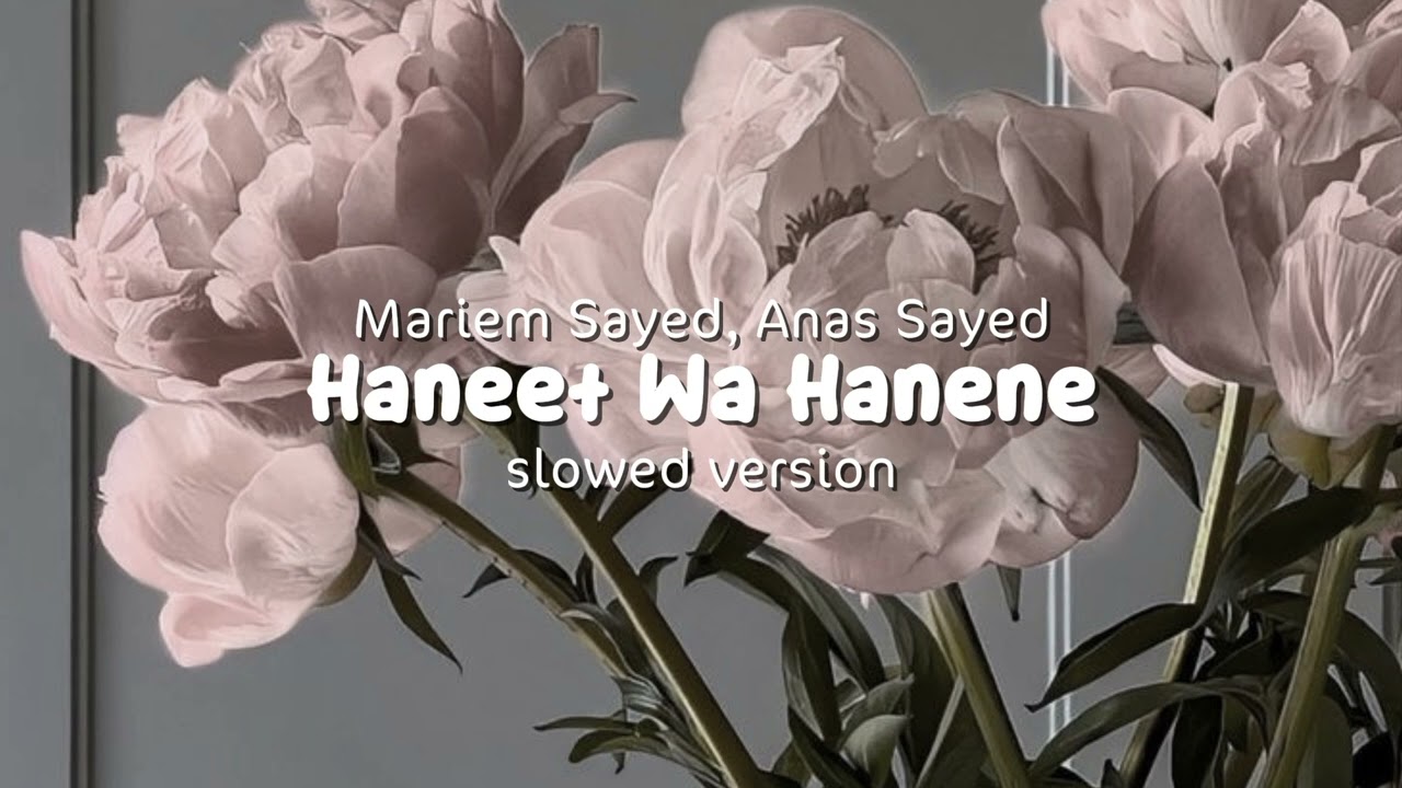 Hanit wa hanini (slowed version) | Mariem Sayed, Anas Sayed