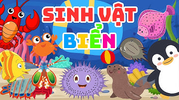 SINH VẬT KÌ LẠ DƯỚI BIỂN | KHÁM PHÁ ĐẠI DƯƠNG | ĐỘNG VẬT BIỂN | CÁ SÚ MÌ, CÁ BƠN | Anh - Việt