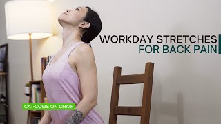 Workday Stretches for Back Pain Relief (pt.1)