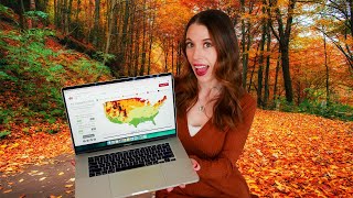 🍁 4 Fun Ways To Have A Festive Fall 🍎 | Problem Solved (TECH)