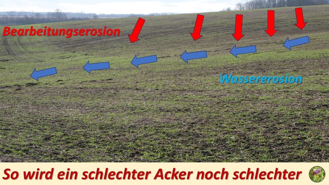 So wird ein schlechter Acker noch schlechter