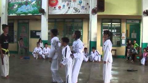 dumanlas taekwondo