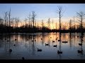 Tatumville Duck Hunting-Cut' Em 2003 duck season