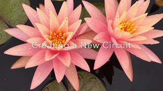 Healing Beyond Borders Poem - Creating a New Circuit