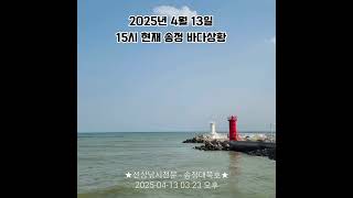 2025년 4월 13일 15시 현재 송정 바다상황