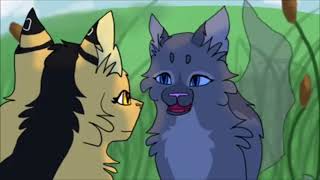 Leopardenstar MAP/This is me/German/Warrior Cats