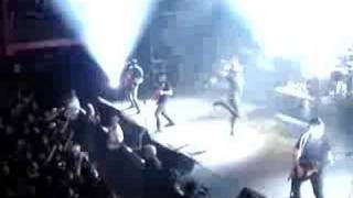 Senses Fail  Shark Attack