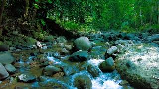 River Echo in Stone Canyon – Pure Water ASMR for Focus & Study