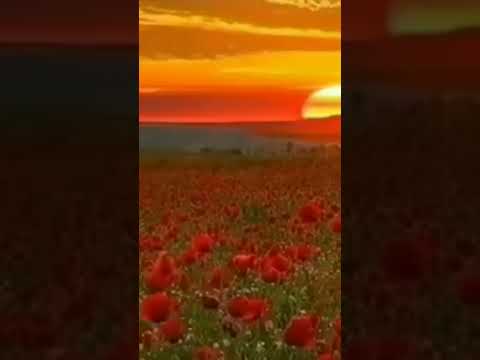 ثم بعثناهم لنعلم أي الحزبين احصى لما لبثوا امدا