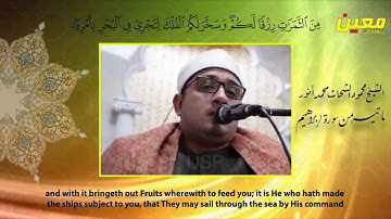 الشيخ محمود الشحات محمد أنور 👑 قارئ العالم الأول 👑 ورائعة من روائعة سورة إبراهيم من بريطانيا HD