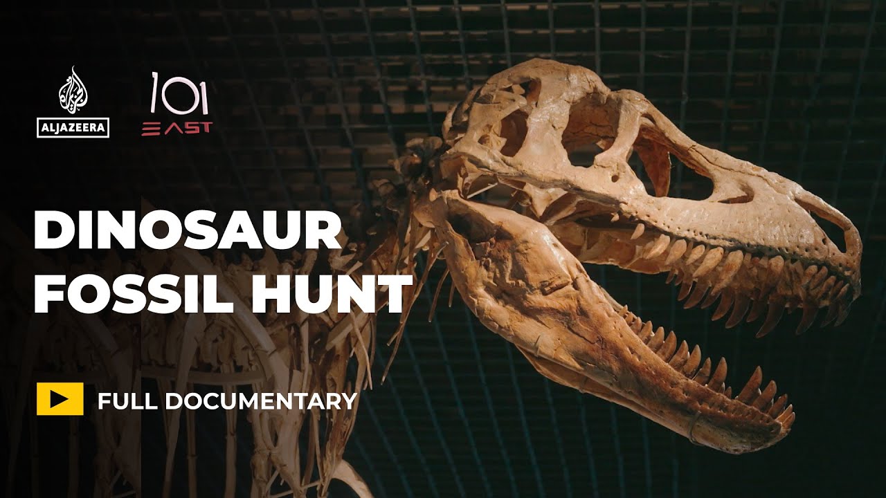 Dinosaurs for sale: Is the global fossil market harming science? | 101 East Documentary