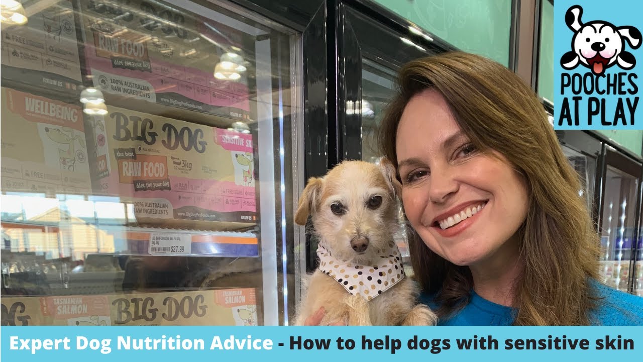 big dog sensitive skin