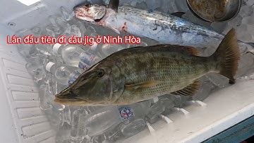 Lần đầu tiên đi câu jig ở Ninh Hòa: GIAO LƯU VỚI THẦY NGUYỄN, THẦY ĐÃ VỀ ĐÍCH!