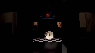 Pug dancing to music box