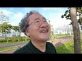 여객기에서 목격한 ufo #ufo