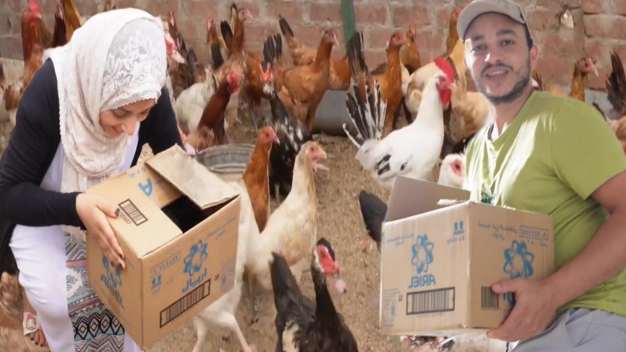 مفاجأة مكنتش على البال ولا الخاطر سببت فى كارثة كبيرة على السطح واتبهدلنا اخر بهدله