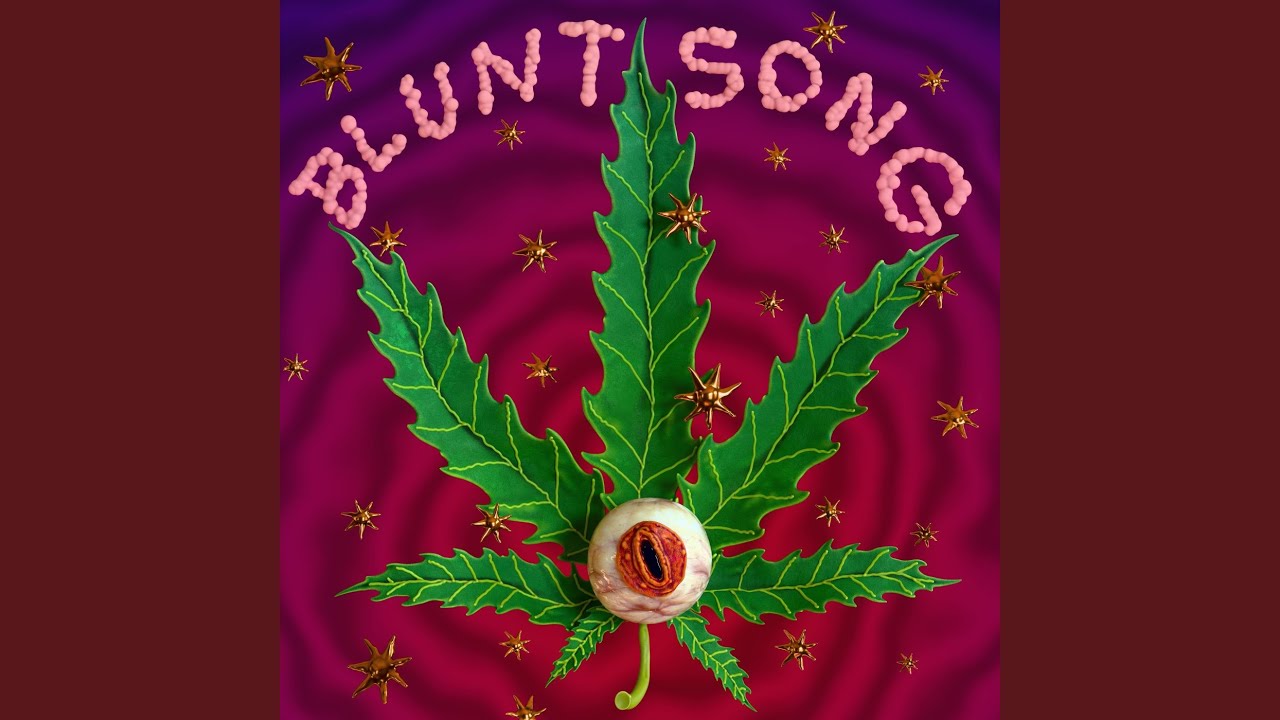 BLUNT SONG adlı videoyu YouTube'da izle
