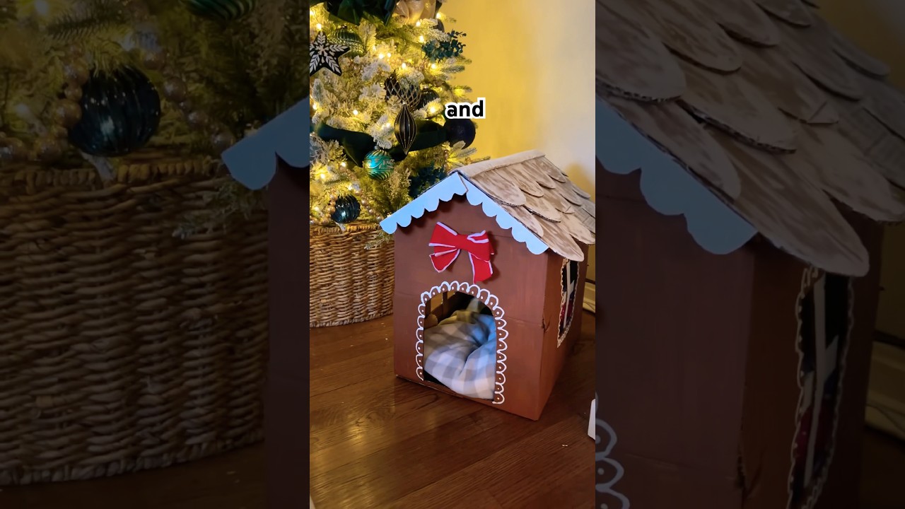 Пряничный домик для кошек, сделанный из коробок Amazon. 