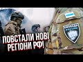 Партизани ЙДУТЬ ДО КАДИРОВА?! СВІТАН: у РФ все тільки починається, уже включився Китай