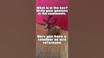 What‘s in the box?#lego #cool #afol #mystery #reveal #epic