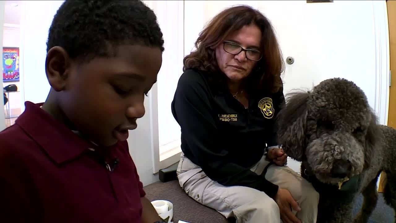 Therapy dogs help children learn to read at West Palm Beach library ...
