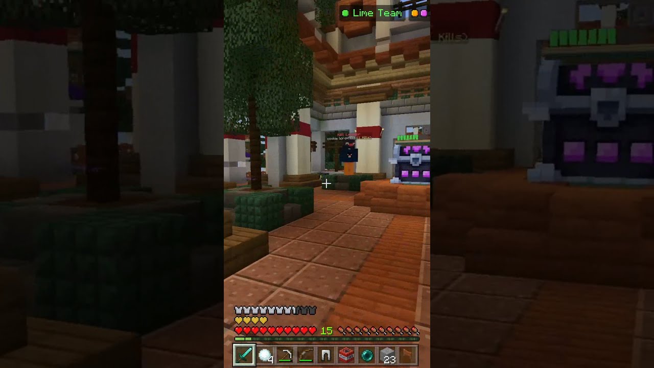 FUNNY Hive SkyWars FENCE GATE Trap 