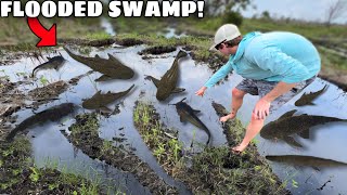 CATCHING INVASIVE FISH in FLOODED SWAMP!