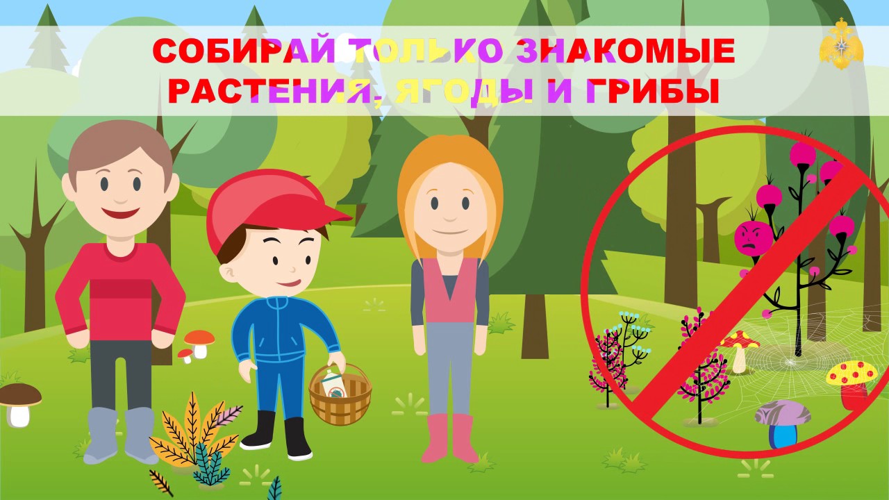 Безопасность на отдыхе на природе