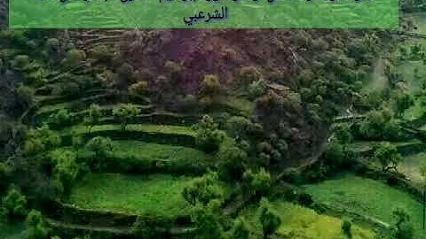 تلاوة مرتله خاشعة مؤثرة من سورة ابراهيم للشيخ القارئ عبدالرحمن فائد الشرعبي
