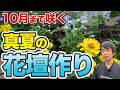【夏花厳選】暑さに強い花壇作りのコツを紹介！【ガーデニング】【土作り】
