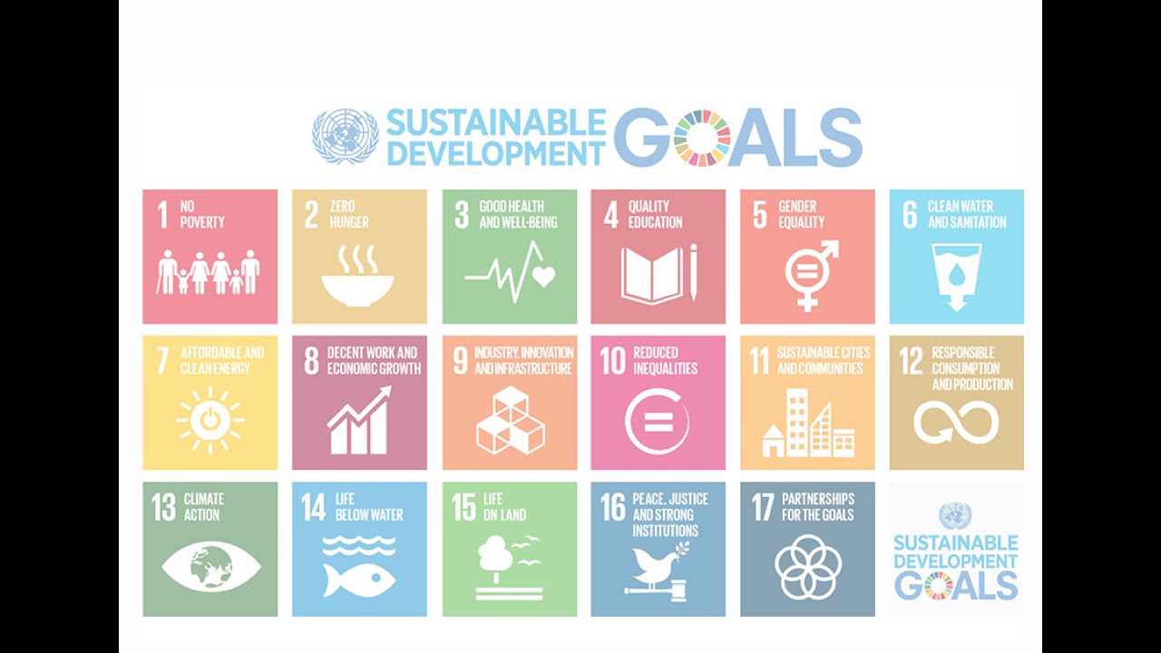 NFGL Södertörn: Sustaining UN SDGs Through A Pandemic