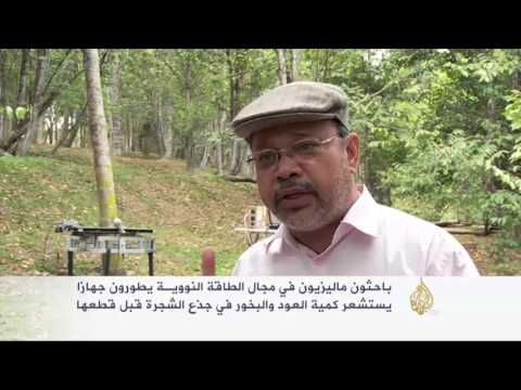 تطوير جهاز بماليزيا لاستشعار العود والبخور بالأشجار