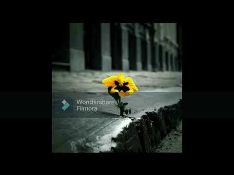 გურო როყვას პოეზია      “ჩემო მხატვარო”