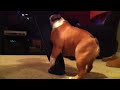 Beginning of video