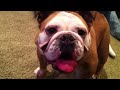 Middle of video