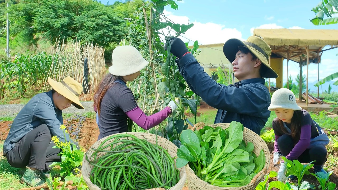 Harvesting Yu Choy, Chinese Broccoli & Long Beans | Market Sale, Cooking & Planting Winter Melon