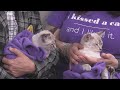 Sponsored Content: Shelter Spotlight With Fern &amp; Aspen