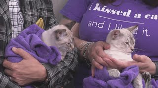 Sponsored Content: Shelter Spotlight With Fern &amp; Aspen
