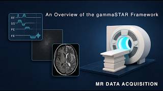 gammaSTAR Introduction | MRI Data Acquisition #1