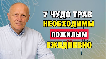 Как остановить старение мозга: 7 растений, которые возвращают память и ясность