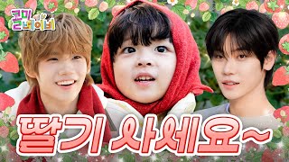 Download Lagu If you'd said CYE, then we wouldn't be here on Call Me Baby | CYE JANG YEOJUN \u0026 KENSHIN | CMB EP.16 MP3