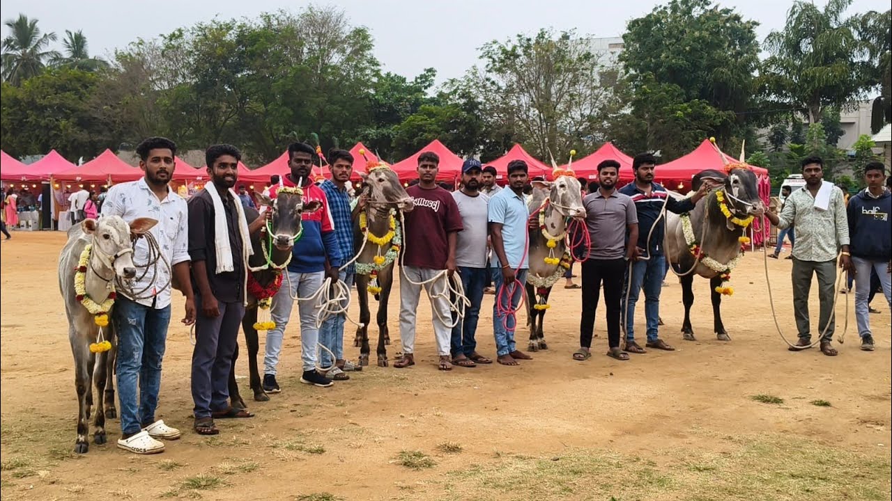 Канакапура Круши Мела 2025