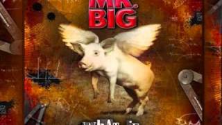 Mr Big - Stranger In My Life.