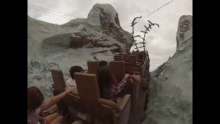 MONTANHA  RUSSA-DISNEY
