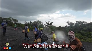 Download Lagu ไปหาเห็ดแต่เจอผีหลอก!! ตอนกลางวันแสกๆ MP3 Download Lagu ไปหาเห็ดแต่เจอผีหลอก!! ตอนกลางวันแสกๆ MP3