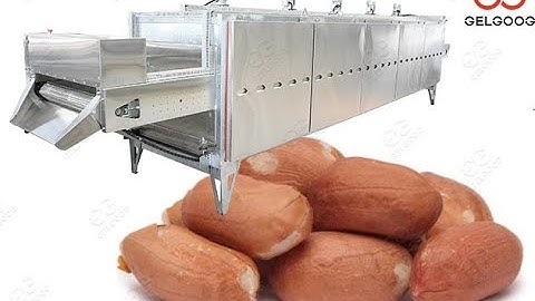 Peanut Roaster Machine|Automatic Peanut Nut Roaster Machine@gelgoog.com